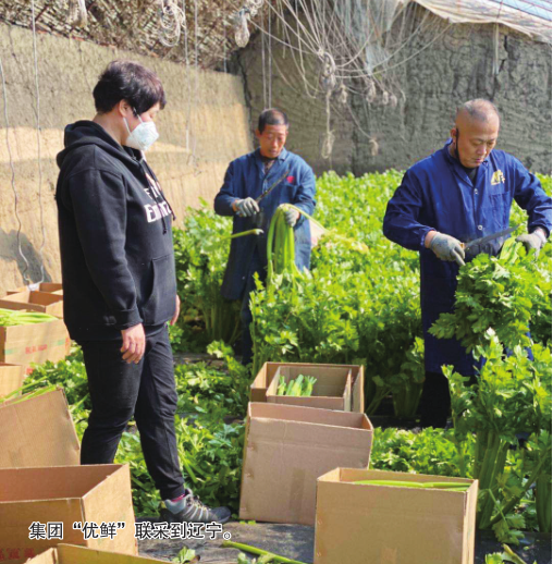 ��Ȧ(�й���)�������ǲ�!